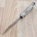 BPS Knives Compact Hunting Fixed Knife 4.25" Scandi Grind 5Cr14MoV Steel Full Tang Blade Walnut Handle