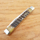 Frost Cutlery Doctors Pocket Knife Stainless Steel Blades Jigged Bone Handle