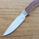 Schrade Uncle Henry Fixed Knife 2.75" Stainless Steel Blade Delrin Stag Handle