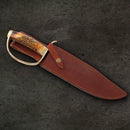 Rough Ryder D Guard Bowie Fixed Knife 10.5" Stainless Steel Blade Bone Handle
