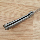 CJRB Pyrite Folding Knife 3.13" AR-RPM9 Steel Drop Point Blade Titanium Handle
