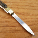 Frost Cutlery Doctors Pocket Knife Stainless Steel Blades Jigged Bone Handle