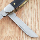 Kershaw Brandywine Pocket Knife Satin 7CR17MoV Steel Blades Black G10 Handle