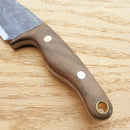 Condor Kimen Fixed Knife 3.25" Natural Finish 1095HC Steel Blade Walnut Handle