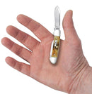 Case XX Cutlery Baby Butterbean Pocket Knife Stainless Steel Blades Stag Handle 05537 -Case Cutlery - Survivor Hand Precision Knives & Outdoor Gear Store