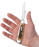 Case XX Cutlery Trapper Pocket Knife Stainless Steel Blades Amber Bone Handle 06540 -Case Cutlery - Survivor Hand Precision Knives & Outdoor Gear Store