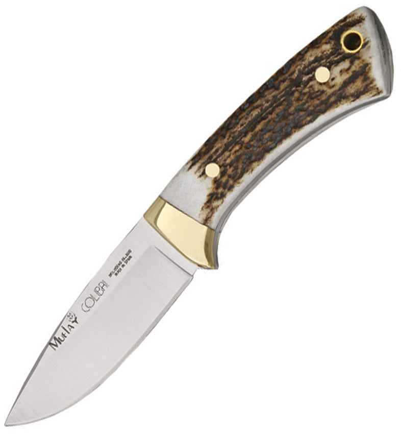 Muela Colibri Fixed Knife 2.75" 440C Steel Full Tang Blade Stag Handle Brass Guard 92340 -Muela - Survivor Hand Precision Knives & Outdoor Gear Store