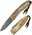 LionSTEEL Opera Lockback Folding Knife 2.87" Damascus Blade Ram Horn Handle 8800DMN -LionSTEEL - Survivor Hand Precision Knives & Outdoor Gear Store