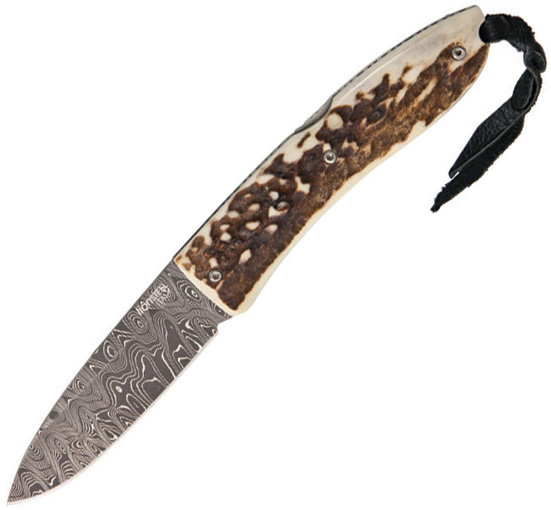 LionSTEEL Opera Lockback Folding Knife 2.87" Damascus Blade Stag Handle 8800DCE -LionSTEEL - Survivor Hand Precision Knives & Outdoor Gear Store