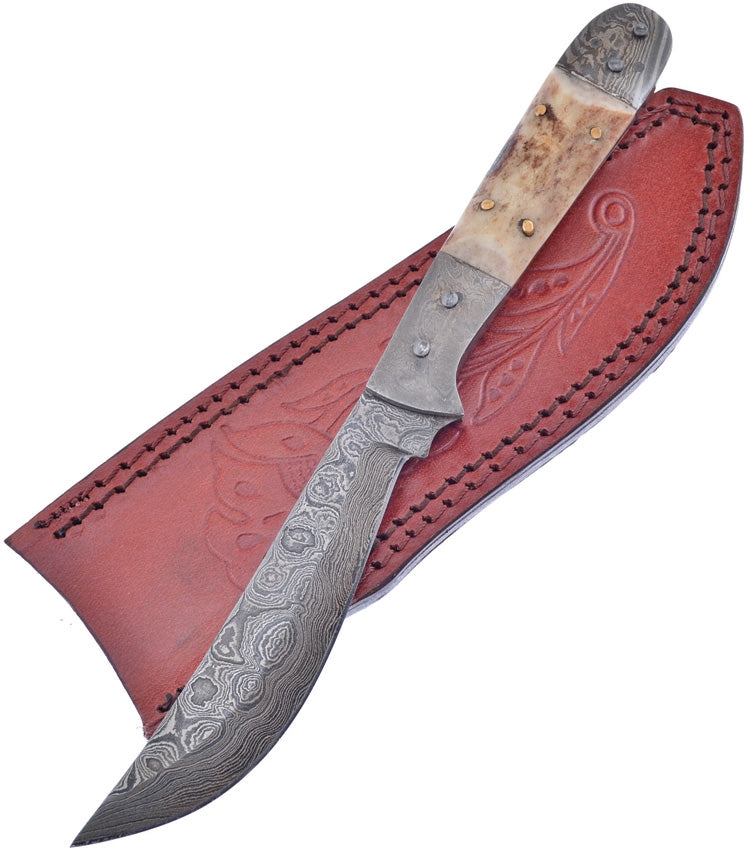 Frost Cutlery Skinner Fixed Knife 4.5" Damascus Steel Blade Stag Bone Handle VFD64DS -Frost Cutlery - Survivor Hand Precision Knives & Outdoor Gear Store