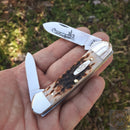 Case XX Cutlery Canoe Pocket Knife Carbon Steel Blades Amber Jigged Bone Handle 00263 -Case Cutlery - Survivor Hand Precision Knives & Outdoor Gear Store