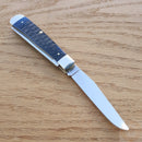 Case XX Trapper Pocket Knife Stainless Steel Blades Navy Blue Jigged Bone Handle 07051 -Case Cutlery - Survivor Hand Precision Knives & Outdoor Gear Store