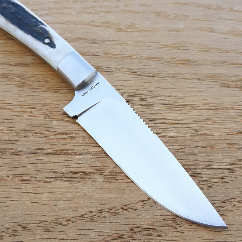 Boker Arbolito Nicker Fixed Knife 3.75" T6MoV Steel Drop Point Blade Stag Handle 02BA736H -Boker - Survivor Hand Precision Knives & Outdoor Gear Store