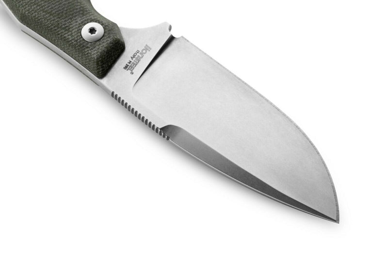 LionSTEEL H2 Skinner Fixed Knife 2.95" M390 Steel Blade Green Canvas Handle H2CVG -LionSTEEL - Survivor Hand Precision Knives & Outdoor Gear Store