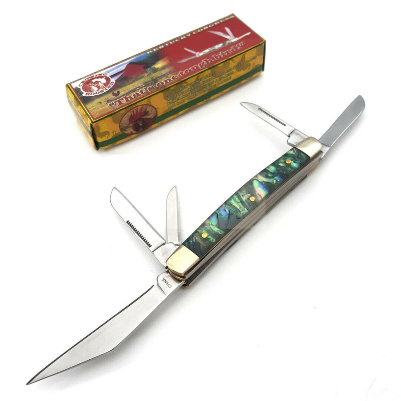 Frost Cutlery Kentucky Congress Pocket Knife Stainless Blades Salt Water Abalone Handle 117SAB -Frost Cutlery - Survivor Hand Precision Knives & Outdoor Gear Store