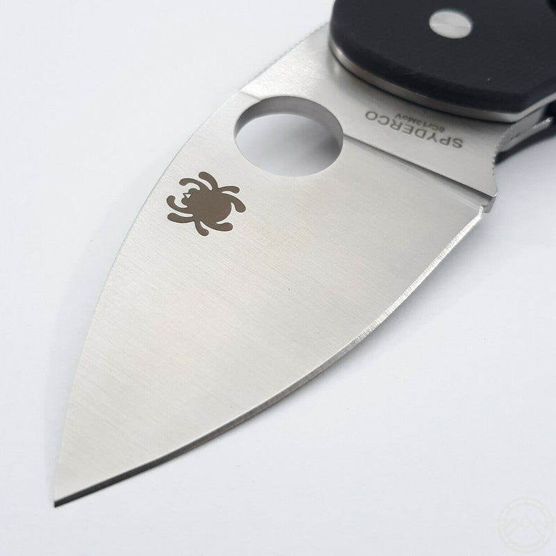 Spyderco Insistent Folding Knife 2.5" 8Cr13MoV Steel Blade Black G10 Handle 246GP -Spyderco - Survivor Hand Precision Knives & Outdoor Gear Store