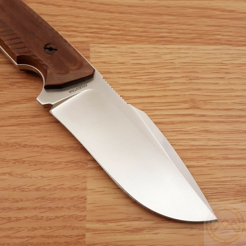 Boker Bison Fixed Knife Bohler N695 Steel Blade Guayacan Wood Handle 02BA404 -Boker - Survivor Hand Precision Knives & Outdoor Gear Store