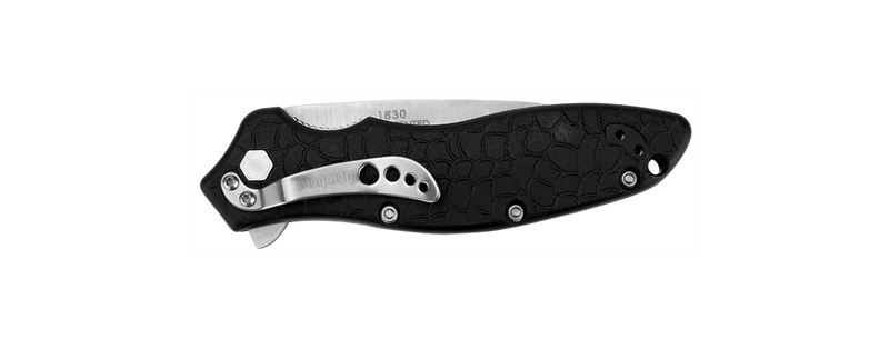 Kershaw Oso Sweet Linerlock Folding Knife 3.13" 8Cr13MoV Stainless Steel Blade GRN Handle 1830 -Kershaw - Survivor Hand Precision Knives & Outdoor Gear Store