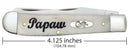Case XX Papaw Pocket Knife Stainless Steel Blades Natural Smooth Bone Handle 10430 -Case Cutlery - Survivor Hand Precision Knives & Outdoor Gear Store