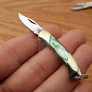 Rough Ryder Miniature Set Folding Knife 1.13" Stainless Steel Blade Pearl Handle 1710 -Rough Ryder - Survivor Hand Precision Knives & Outdoor Gear Store