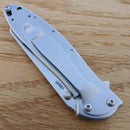 Kershaw Random Leek Folding Knife 3" 14C28N Sandvik Steel Blade 410 Stainless Handle 1660R -Kershaw - Survivor Hand Precision Knives & Outdoor Gear Store