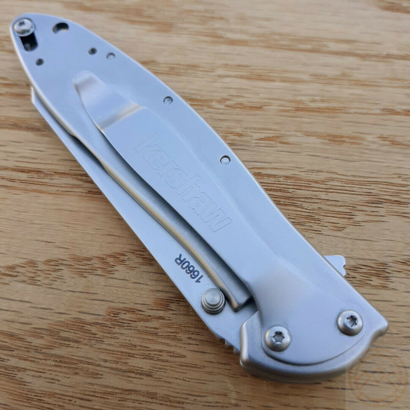 Kershaw Random Leek Folding Knife 3" 14C28N Sandvik Steel Blade 410 Stainless Handle 1660R -Kershaw - Survivor Hand Precision Knives & Outdoor Gear Store