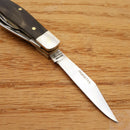 Frost Cutlery Baby Diamond Pocket Knife Stainless Blade Buffalo Horn Handle 14632CBH -Frost Cutlery - Survivor Hand Precision Knives & Outdoor Gear Store