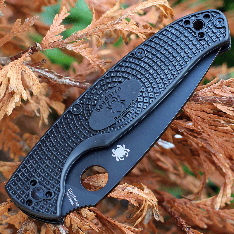 Spyderco Resilience Folding Knife 4.20" 8Cr13MoV Steel Blade Black FRN Handle 142PSBBK