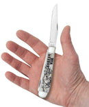 Case XX Korean War Pocket Knife Stainless Steel Blades Natural Bone Handle 50951 -Case Cutlery - Survivor Hand Precision Knives & Outdoor Gear Store