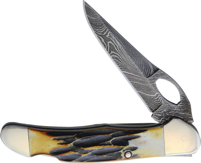 Bear & Son Lockback Folding Knife 2.75" Damascus Steel Blade India Stag Bone Handle 5149LD -Bear & Son - Survivor Hand Precision Knives & Outdoor Gear Store