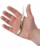 Case XX Small Texas Toothpick Folding Knife 2.25" Stainless Blade Genuine Stag Handle 5532 -Case Cutlery - Survivor Hand Precision Knives & Outdoor Gear Store
