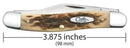 Case XX Cutlery Large Stockman Pocket Knife Stainless Blades Amber Bone Handle 00128 -Case Cutlery - Survivor Hand Precision Knives & Outdoor Gear Store