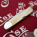 Case XX Mini Copperlock Star Spangled Folding Knife 2.75" Stainless Blade Bone Handle 64141 -Case Cutlery - Survivor Hand Precision Knives & Outdoor Gear Store