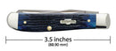Case XX Mini Trapper Pocket Knife Surgical Steel Blades Navy Blue Jigged Bone Handle 02838 -Case Cutlery - Survivor Hand Precision Knives & Outdoor Gear Store