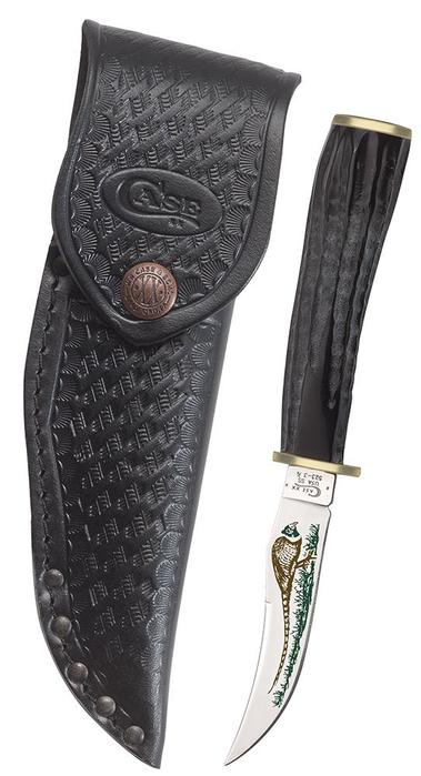 Case XX Pheasant Fixed Knife 3.25" Stainless Steel Blade Buffalo Horn Handle 17917 -Case Cutlery - Survivor Hand Precision Knives & Outdoor Gear Store