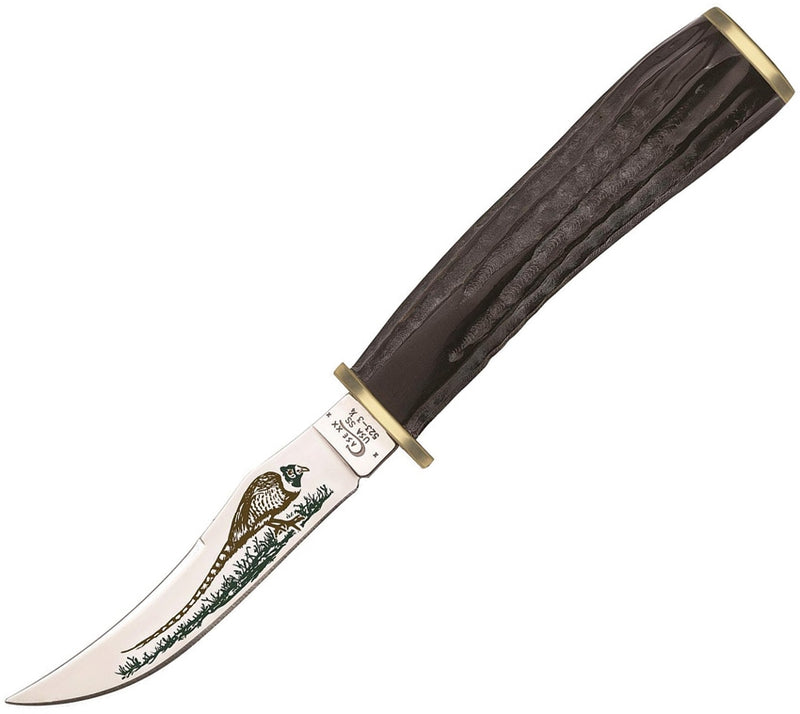 Case XX Pheasant Fixed Knife 3.25" Stainless Steel Blade Buffalo Horn Handle 17917 -Case Cutlery - Survivor Hand Precision Knives & Outdoor Gear Store