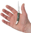 Case XX Small Texas Toothpick Folding Knife 2.25" Stainless Blade Abalone Handle 12002 -Case Cutlery - Survivor Hand Precision Knives & Outdoor Gear Store