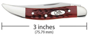 Case XX Small Texas Toothpick Folding Knife 2.25" Stainless Steel Long Clip Blade Red Jigged Bone Handle 00792 -Case Cutlery - Survivor Hand Precision Knives & Outdoor Gear Store
