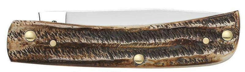 Case XX Sod Buster Jr Folding Knife 2.8" Stainless Steel Blade Bonestag Handle 65310 -Case Cutlery - Survivor Hand Precision Knives & Outdoor Gear Store