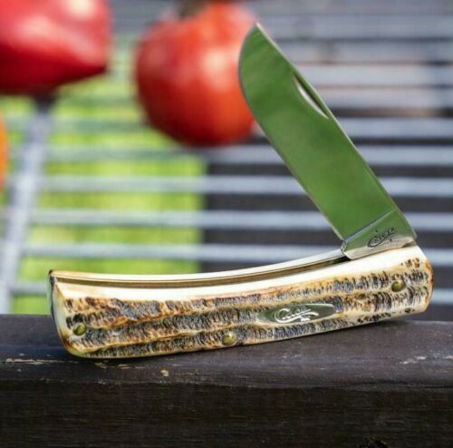 Case XX Sod Buster Jr Folding Knife 2.8" Stainless Steel Blade Bonestag Handle 65310 -Case Cutlery - Survivor Hand Precision Knives & Outdoor Gear Store