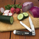 Case XX Trapper Pocket Knife Stainless Blades Jigged Natural Buffalo Horn Handle 65010 -Case Cutlery - Survivor Hand Precision Knives & Outdoor Gear Store