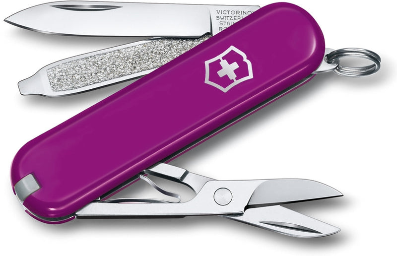 Victorinox Classic SD Tasty Grape Pocket Multi Tool ABS Purple Handle 0622352G -Victorinox - Survivor Hand Precision Knives & Outdoor Gear Store