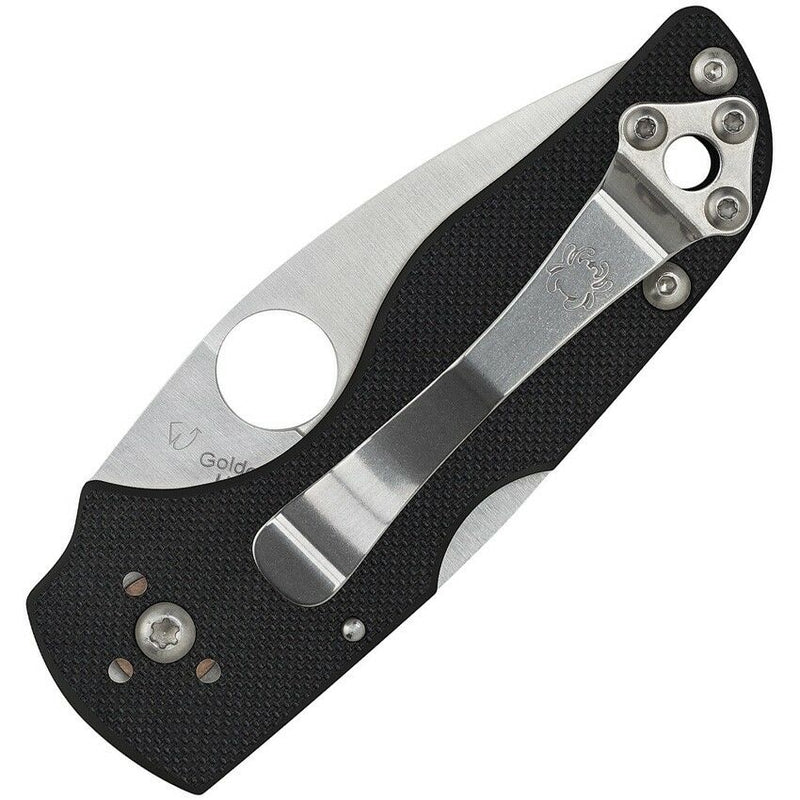 Spyderco Lil' Native Backlock Folding Knife CPM S30V Steel Blade G10 Handle C230MBGS -Spyderco - Survivor Hand Precision Knives & Outdoor Gear Store