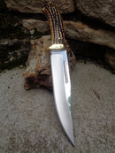 Frost Cutlery Bowie Fixed Knife 7" Stainless Steel Blade Stag Bone Resin Handle HP137SBR -Frost Cutlery - Survivor Hand Precision Knives & Outdoor Gear Store