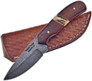 Frost Skinner Fixed Knife 3.25" Damascus Steel Blade Rosewood/Stag Handle VFD34RWST -Frost Cutlery - Survivor Hand Precision Knives & Outdoor Gear Store