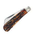 Rough Ryder Half Hawk Cinnamon Folding Knife Carbon Steel Blade Stag Bone Handle 2427 -Rough Ryder - Survivor Hand Precision Knives & Outdoor Gear Store