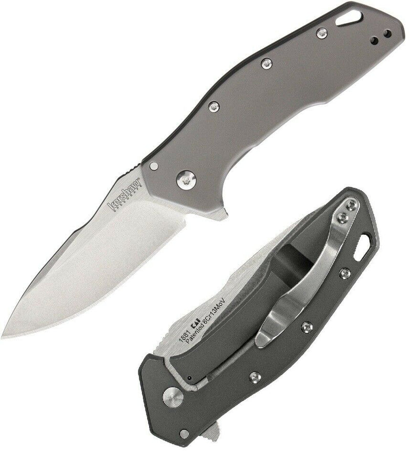 Kershaw Eris Folding Knife 3" 8Cr13MoV Steel Blade Gray TiNi Finish Stainless Handle 1881 -Kershaw - Survivor Hand Precision Knives & Outdoor Gear Store