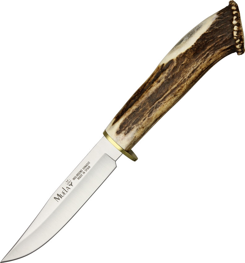 Muela Hunter Fixed Knife 4.75" Stainless Steel Blade Crown Stag Handle G12S -Muela - Survivor Hand Precision Knives & Outdoor Gear Store