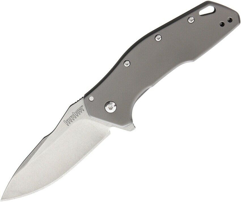 Kershaw Eris Folding Knife 3" 8Cr13MoV Steel Blade Gray TiNi Finish Stainless Handle 1881 -Kershaw - Survivor Hand Precision Knives & Outdoor Gear Store