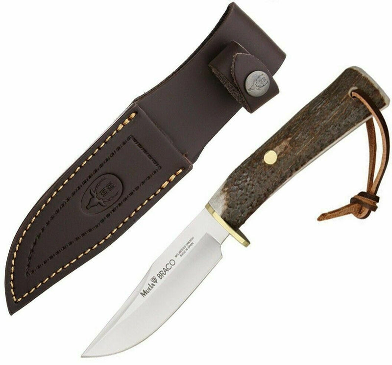 Muela Braco Fixed Knife 4.125" 440A Steel Blade Stag Handle w/Brown Belt Sheath 90854 -Muela - Survivor Hand Precision Knives & Outdoor Gear Store